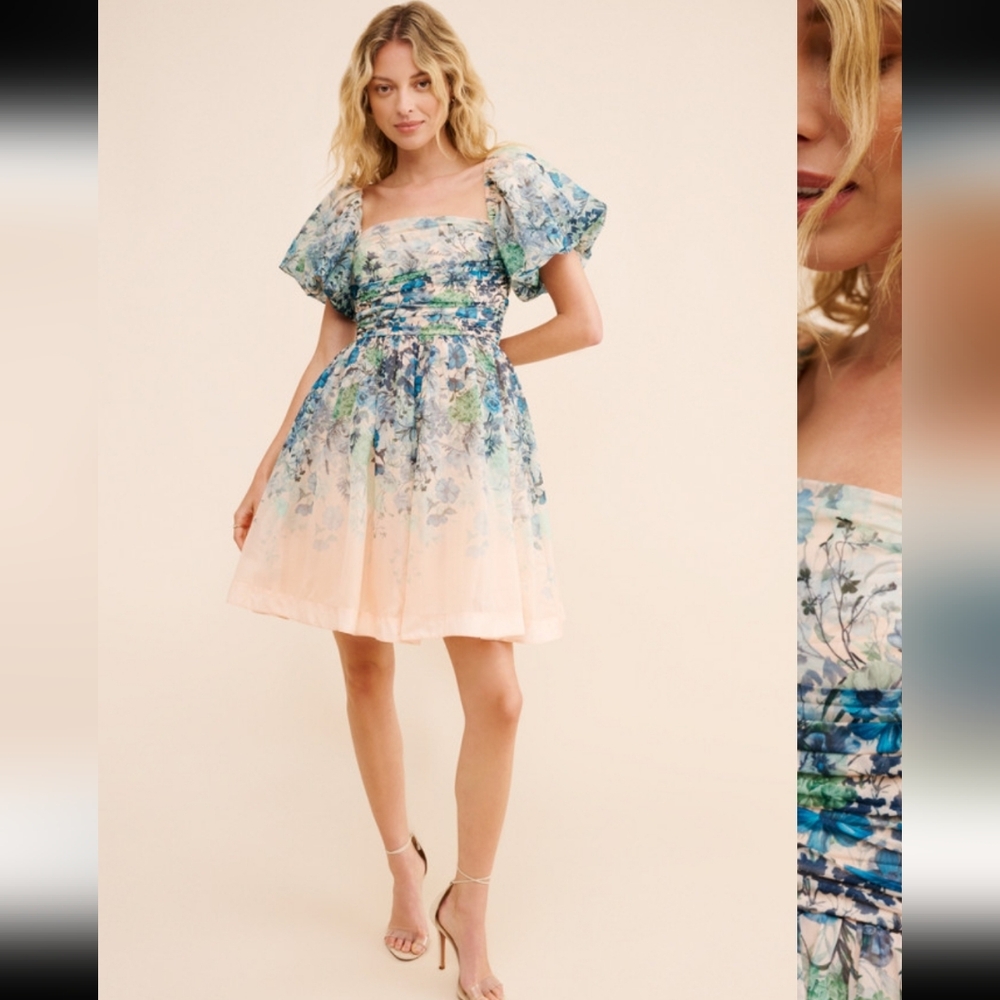Anthropologie Let Me Be Floral Blue and Cream Dress